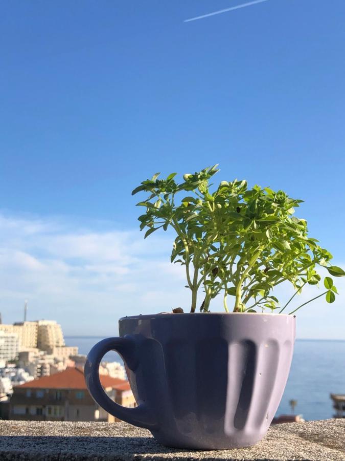 Studio Apartmani Lemon 布德瓦 外观 照片